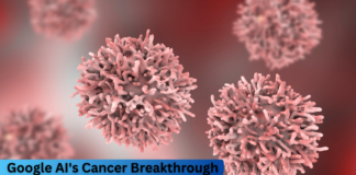 Google’s AI Discovers Promising New Cancer Therapy Pathway
